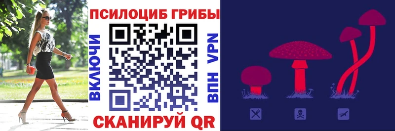 сколько стоит  Калуга  Псилоцибиновые грибы прущие грибы 